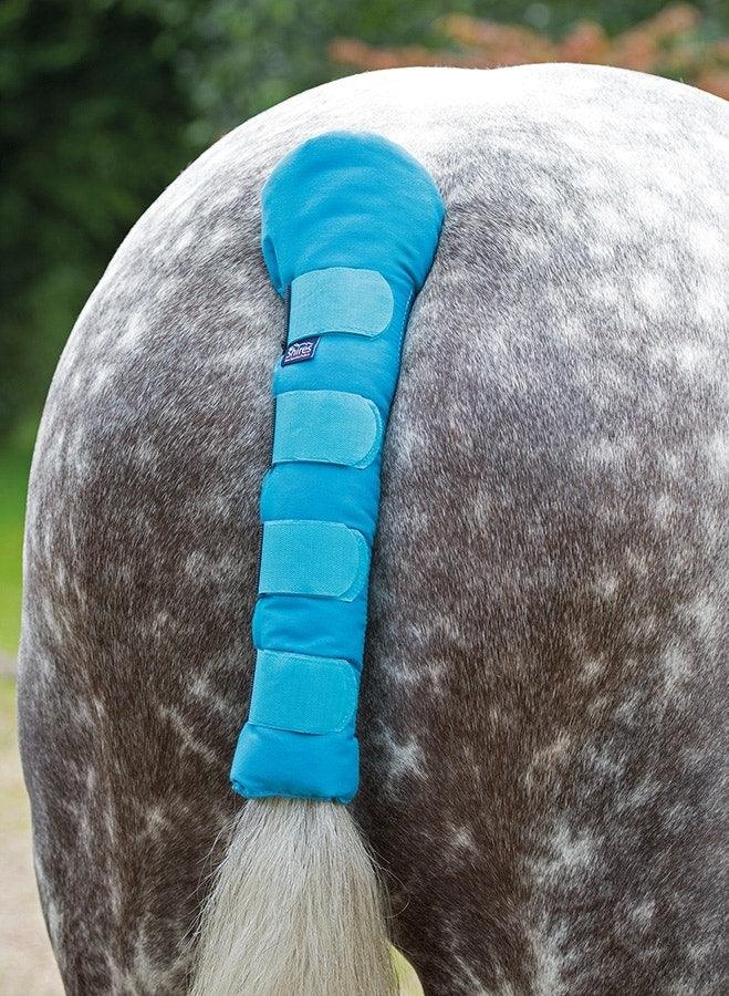 Arma Protege Queue - SHOPHORSE